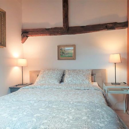 Chalet Charm In The Heart Of The Old Town Annecy Eksteriør billede